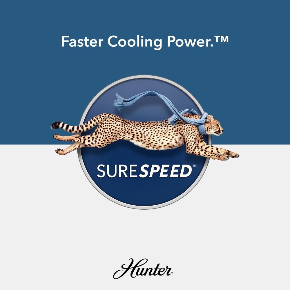 51587